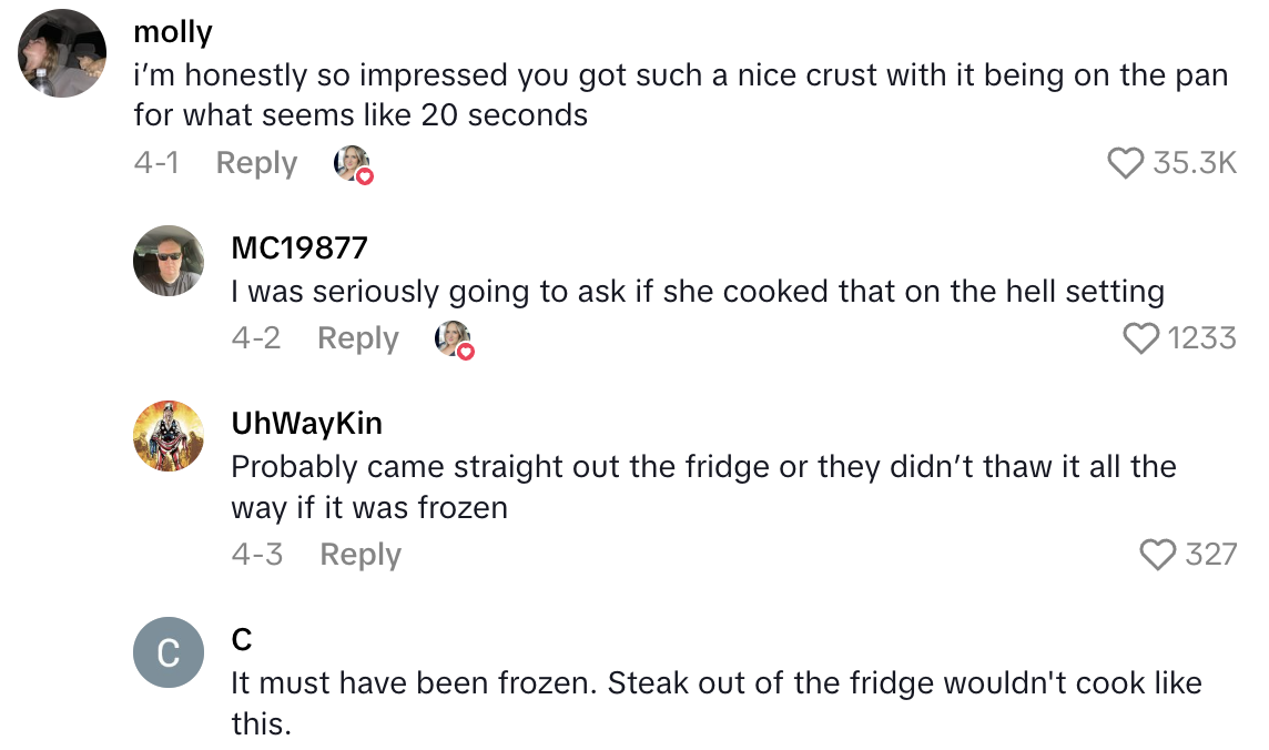 Screenshot 2025 06 20 at 2.05.15 PM A TikTokker Cooked A Steak On A Brand New Skillet And It Didnt Turn Out Well